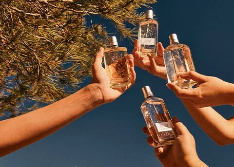 ロクシタン ネロリ&オーキディー 6ml 0.20オンス